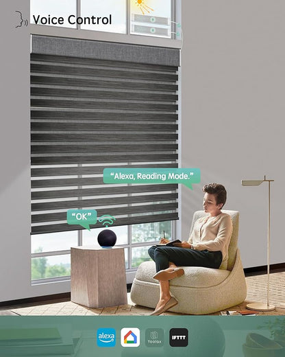 Yoolax Motorized Dual Roller Shade, 60x60in, Zebra Black, Solar Powered, Compatible with Alexa, 100% Blackout Fabric, Light Filtering, Remote Control, Inside Mount