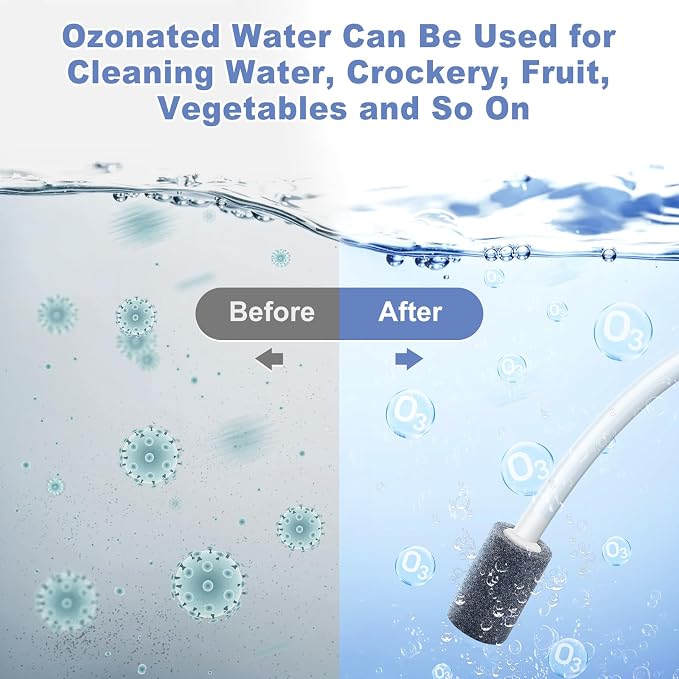 Ozone Machine Generator for Water and Air, 1000mg/h Fruit Produce Purifier