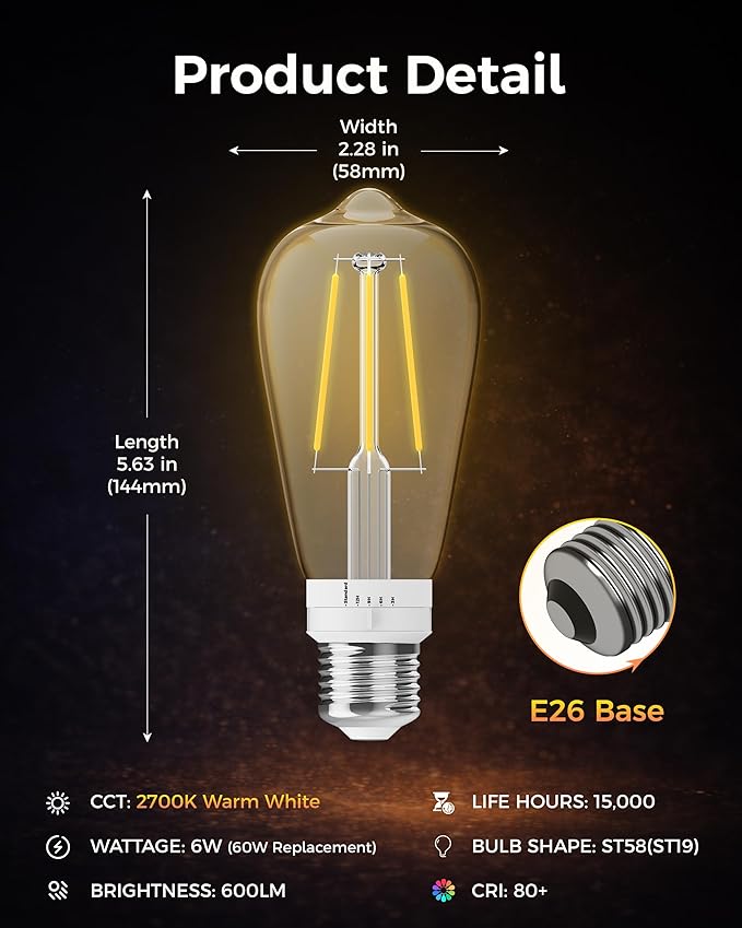 ST19 Timer Light Bulb 2 Pack: Vintage Edison LED Bulbs with Built-in Timer, 3H/6H/9H/12H Auto Modes, Warm White 2700K 600lm, E26 Base, No WiFi, Energy Saving Indoor/Outdoor Porch & Patio Light