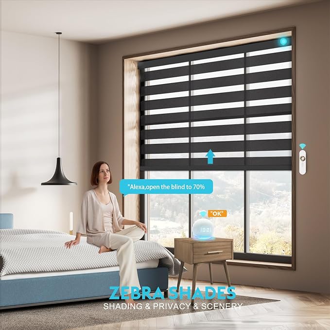 Motorized Zebra Blinds with Remote Smart Blind Work with Homekit Alexa SmartThings Electric Day and Night Shade Cordless Automatic Solar Powered Window Shade Customize(Starry Black)