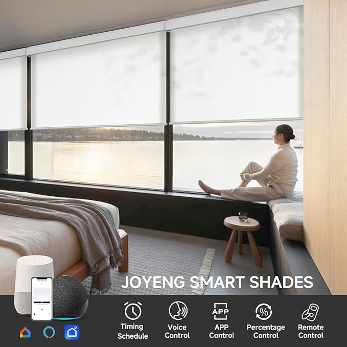 Motorized Light Filtering Roller Shades with Remote Control, Electric Smart Shades Compatible with Alexa and Google, Rechargeable, Customizable Size (Textured White)