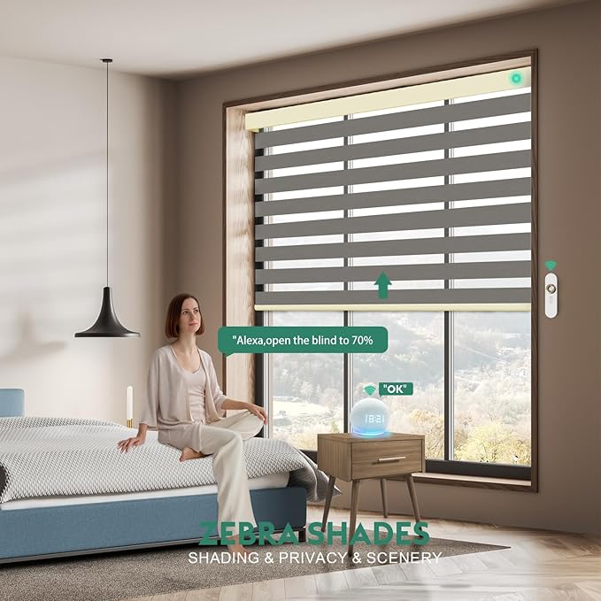 Motorized Zebra Blinds with Remote [Dual Layer + Light Filtering] 95% Blackout Smart Shades for Indoor Windows, Alexa Google and HomeKit Compatible, Customized Size, Equinox Drift