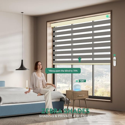 Motorized Zebra Blinds with Remote [Dual Layer + Light Filtering] 95% Blackout Smart Shades for Indoor Windows, Alexa Google and HomeKit Compatible, Customized Size, Equinox Drift