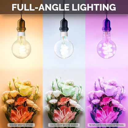 MOES Smart G80 Edison LED Light Bulbs, Color Changing WiFi G25 Smart Bulbs, 2700K-6500K CW& RGB Dimmable, Smart Life Remote Control, Work with Alexa/Google Home, 470lm 5W (40W Equivalent) 2 Pack