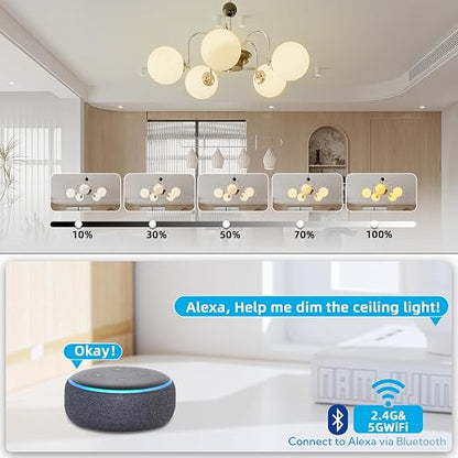Wireless Dimmer Switch, 2 Remote Light and 1 Receiver kit, Compatible with Alexa Voice Control, Single Pole Smart Wall Switch Lighting Fixture for Ceiling Lights Lamps, Support 2.4G&5G
