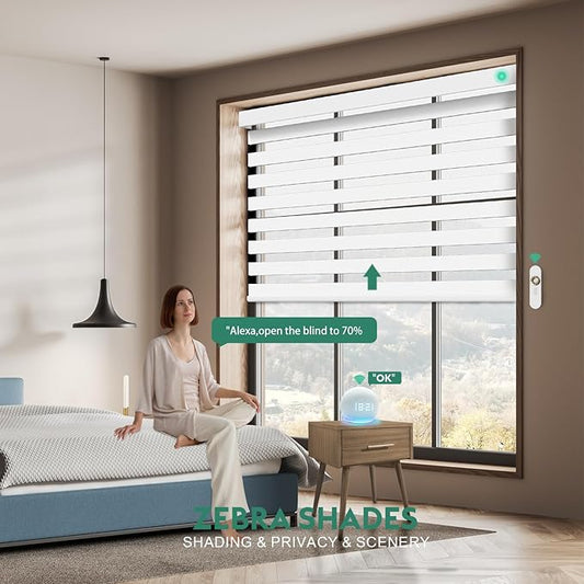 Motorized Zebra Blinds with Remote [Dual Layer + Light Filtering] 90% Blackout Smart Shades for Indoor Windows, Alexa Google and HomeKit Compatible, Customized Size, Shadow Slate