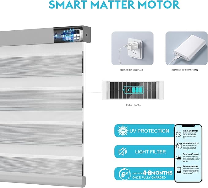 Motorized Zebra Blinds with Remote Smart Blind Work with Homekit Alexa SmartThings Electric Day and Night Shade Cordless Automatic Solar Powered Window Shade Customize(Wooden Texture Sliver)