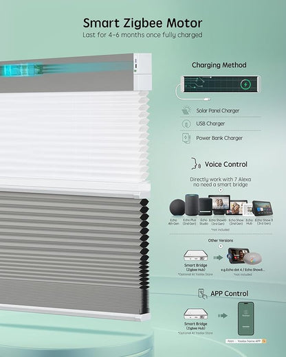 Yoolax Smart Motorized Day and Night Cellular Shades with Remote, Top Down Bottom Up Blinds Compatible with Alexa, Blackout and Light Filtering Honeycomb Blinds (Dark Grey)