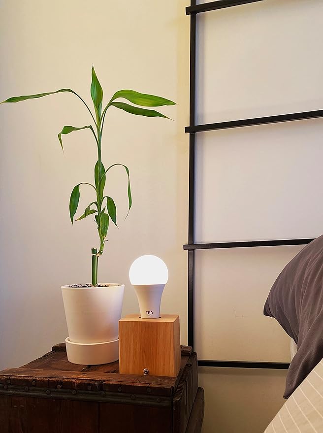 TUO Bundle - Shadeless Lamp and Circadian Sunrise Simulation Smart LED Light Bulb