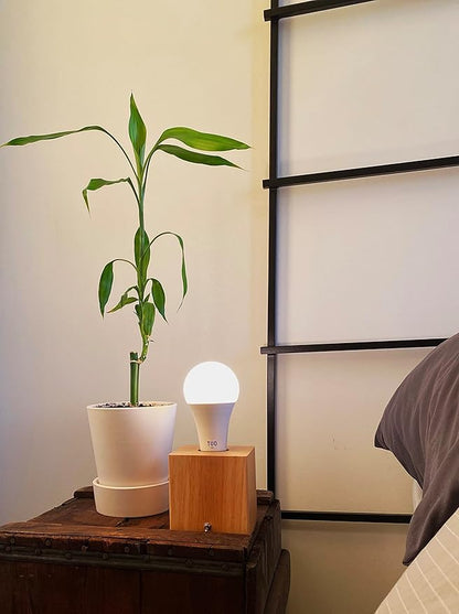 TUO Bundle - Shadeless Lamp and Circadian Sunrise Simulation Smart LED Light Bulb