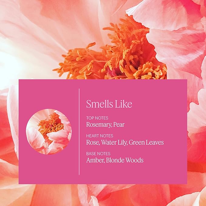 Aera Rose Home Fragrance Scent Refill - Notes of Himalayan Rose, Linden and Peony - Works with the Aera Diffuser