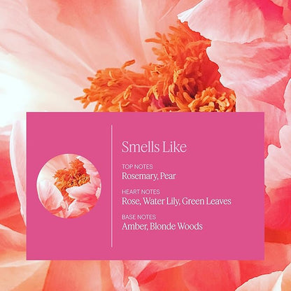 Aera Rose Home Fragrance Scent Refill - Notes of Himalayan Rose, Linden and Peony - Works with the Aera Diffuser
