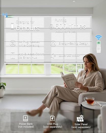 Motorized Roman Shades for Windows, Custom Light Filtering Roman Blinds with Remote, Smart Privacy Window Shades for Living Room Kitchen Office, Alexa & Google Home Compatible, App Control via RF Hub