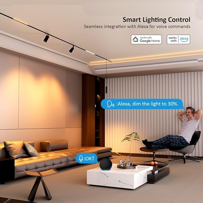 Magnetic Floodlight Track Head, 24V 15W LED Lamp | for Track Light, Dimmable Linear Floodlight, APP Remote Control, Adjustable CCT 3000K-6000K, ETL Certified Ceiling Lighting