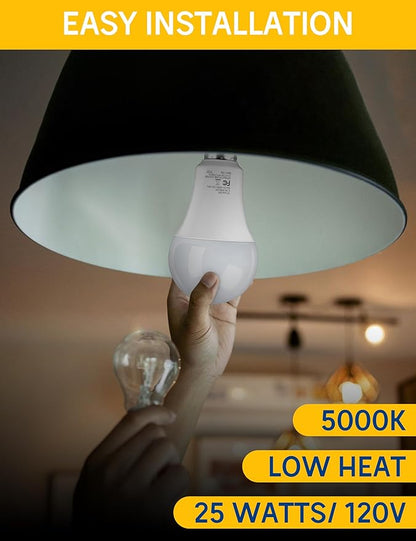 Super Bright LED Light Bulb, A21 25W High Output LED Bulbs 200-250 Watt Equivalent, 3050 Lumens, 5000K Daylight White E26 Porch Light Bulb, Perfect for Garage, No Flicker for Home Lighting, 4 Pack
