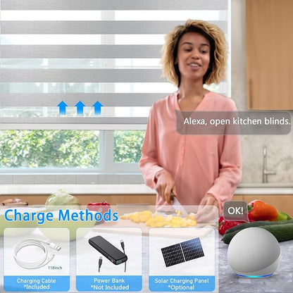 Motorized Zebra Blinds for Windows Cordless Electric Curtains with Remote Control Blackout Shades Custom Smart Blinds Compatible with Alexa Google Home(Light Filtering Grey,W31 X 72in)