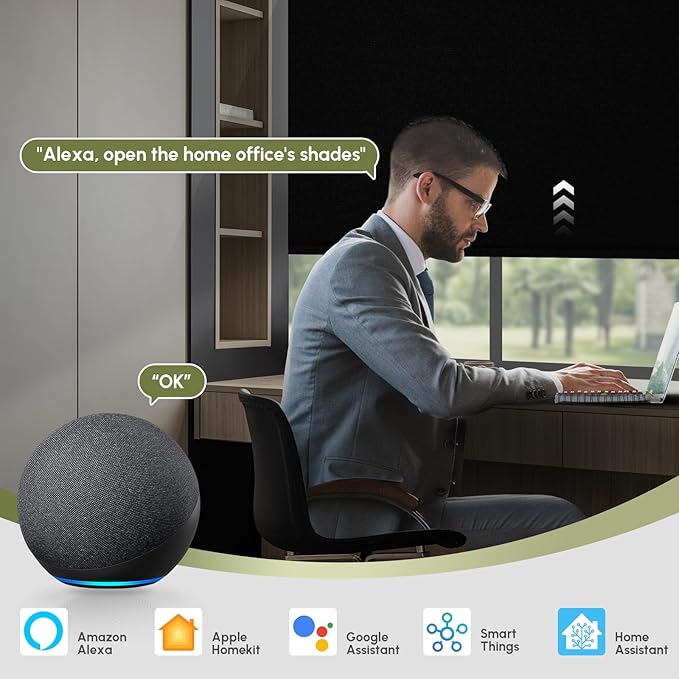 FineTell Motorized Blinds with Remote, 100% Blackout Roller Shades Compatible with Alexa,Apple Homekit,Google Home APP and Voice Control, Customized Electric Blinds (100% Blackout Vinyl Black)