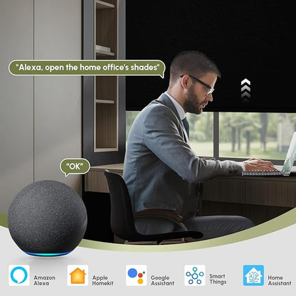 FineTell Motorized Blinds with Remote, 100% Blackout Roller Shades Compatible with Alexa,Apple Homekit,Google Home APP and Voice Control, Customized Electric Blinds (100% Blackout Vinyl Black)