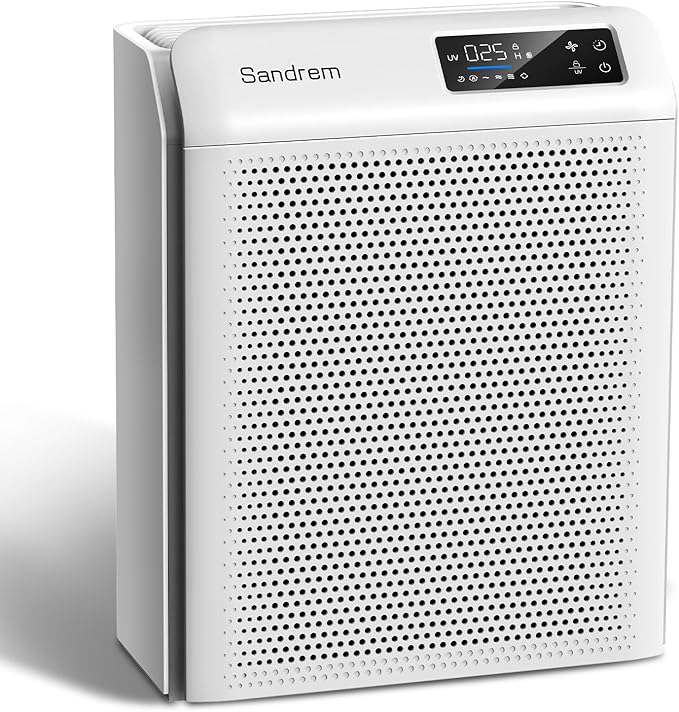 Sanderm Air Purifier for Home HEPA 13 Filter with Particle Sensor | 300 CADR, Room Dust Eliminator|4 Speeds & 24H Timer & Child Lock (Ganymade)