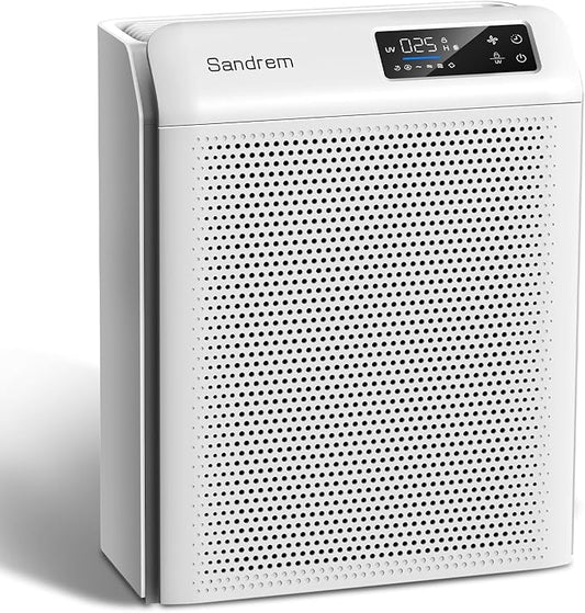 Sanderm Air Purifier for Home HEPA 13 Filter with Particle Sensor | 300 CADR, Room Dust Eliminator|4 Speeds & 24H Timer & Child Lock (Ganymade)