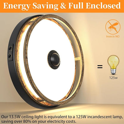 2Pack 12" LED Motion Sensor Outdoor Ceiling Light for Porch, Brown