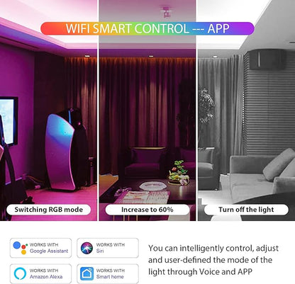 WB5 RF WiFi Bluetooth LED Strip Controller RGB CCT RGBW 5in1 Dimmable Compatible with Smart Life APP/Alexa Echo/Google Assistant Home/Siri, DC12-24V Lights Controller