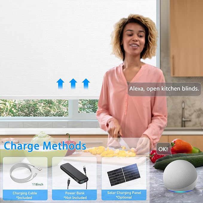 Motorized Blinds with Remote Cordless Automatic Motorized Shades Custom Blinds for Windows Smart Curtains Compatible with Alexa Google Home(Blackout Jacquard White,W22 x H72in)