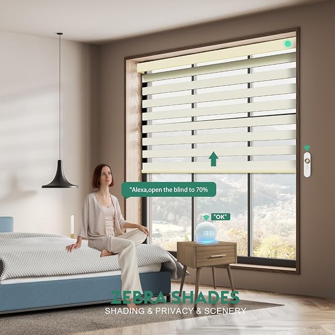 Motorized Zebra Blinds with Remote [Dual Layer + Light Filtering] 90% Blackout Smart Shades for Indoor Windows, Alexa Google and HomeKit Compatible, Customized Size, Shadow Whisper