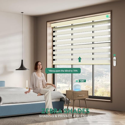 Motorized Zebra Blinds with Remote [Dual Layer + Light Filtering] 90% Blackout Smart Shades for Indoor Windows, Alexa Google and HomeKit Compatible, Customized Size, Shadow Whisper