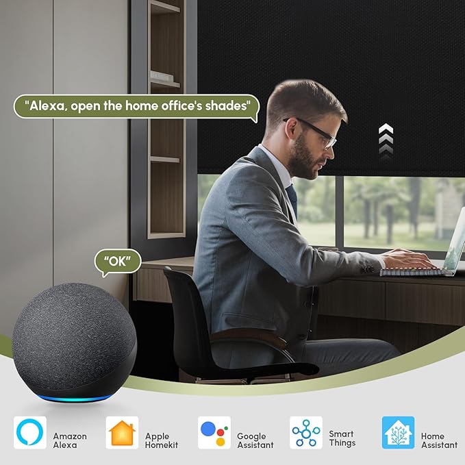 FineTell Motorized Blinds with Remote, 100% Blackout Roller Shades Compatible with Alexa,Apple Homekit,Google Home APP and Voice Control, Customized Electric Blinds (100% Blackout Pure Black)