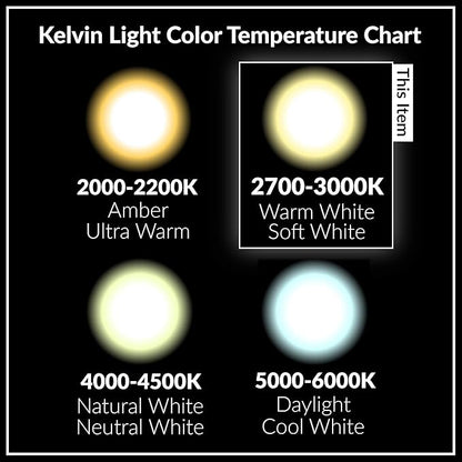 Simba Lighting LED Outdoor Light Bulbs with Photocell Sensor Dusk to Dawn Smart Auto On and Off (2 Pack) A19 6W 40W Replacement for Porch, Night Light, Garage Door, E26 Medium Base, 2700K Warm White