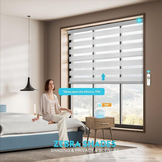 Motorized Zebra Blinds with Remote Smart Blind Work with Homekit Alexa SmartThings Electric Day and Night Shade Cordless Automatic Solar Powered Window Shade Customize(Starry Silver)