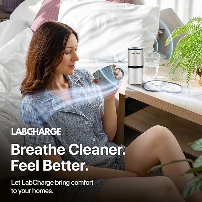 LabCharge Small Ionic Air Purifier for Home & Bedroom – Silent HEPA Filter – Covers 250 Sq Ft - Free Cleaner for Pets, Hair, Smoke, Dust, Odors & Dander – Compact & White Design - Pack of 3