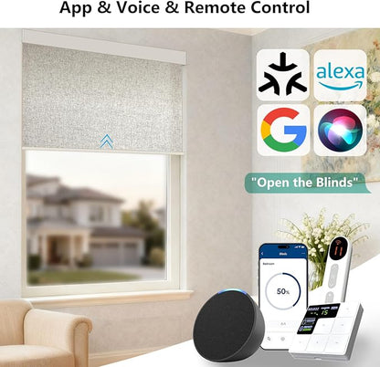 Motorized Light Filtering Roller Shades – Smart Electric Blinds for Living Room, Alexa Google Home Siri, Matter Compatible, Custom Window Shades, Cordless Rechargeable