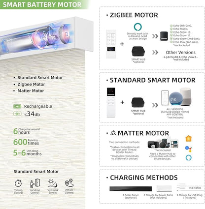 ZSTARR Motorized Smart Light Filtering Blind for Window with Remote Control, Automatic Blackout Roller Shade Customizable Size,with Valance Child Safety Rechargeable Battery Blinds (Light Beige)