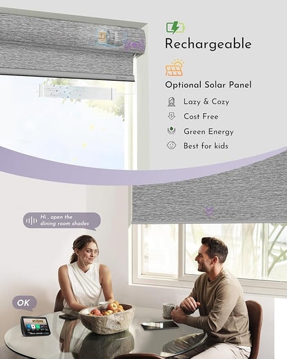 Graywind Smart Blackout Roller Shades for Alexa Google Textured Gleaming Fabric Rechargeable Motorized Blinds Cordless Remote Control Window Shades, Custom Size (Striped Grey) (GW-QZYM-TH00)