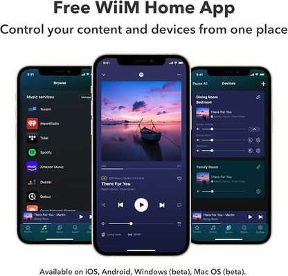 WiiM Pro Plus Music Streamer for Stereo Systems, Modernize Your Hi-Fi