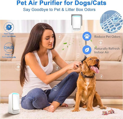 Plug in Air Ionizer Negative Ion Technology Air Purifier for Home Bedroom Office, Filterless Portable Ionic Air Cleaner, Quiet Odor Eliminator for Pets Smoke Dust Mini Freshener