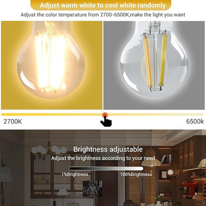 Smart Light Bulbs,Remote Control LED Light Bulb,Vintage Edison Bulbs Remote Control,800LM 6W (60W Equivalent),Dimmable 2700k-6500k,A60A19,E26 Base