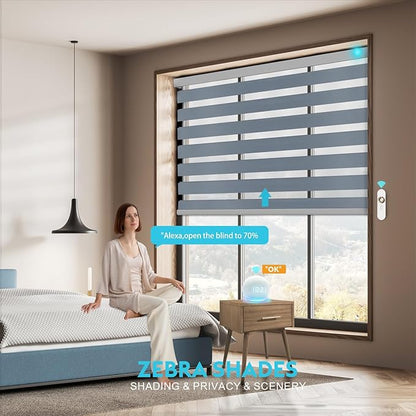 Motorized Zebra Blinds with Remote Smart Blind Work with Homekit Alexa SmartThings Electric Day and Night Shade Cordless Automatic Solar Powered Window Shade Customize(Pure Grey)