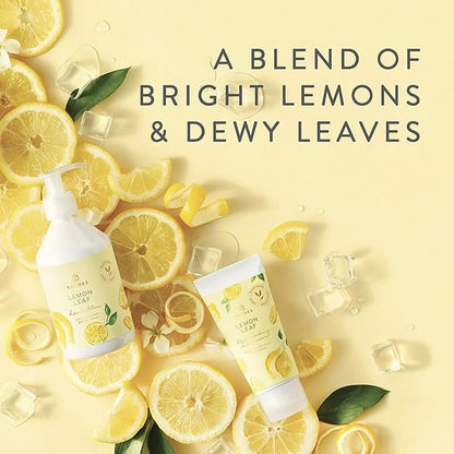 Thymes Pura Refills – 2 Pack of Oil Diffuser Scents – Long-Lasting Pura Diffuser Refills – Premium Home Fragrance – Citrus Notes of Lemon Verbena, Dewey Leaves & Bergamot (Lemon Leaf, Pack of 2)