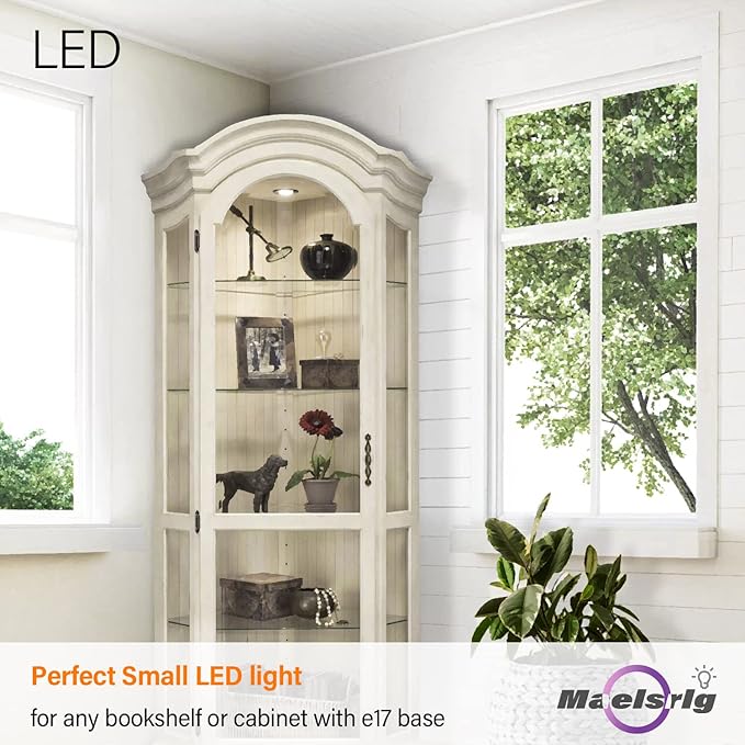 Maelsrlg E17 R14 LED Bulb Dimmable 4W(40W Equivalent) Small Light Bulb, E17 Intermediate Base, 300 Lumens, Curio Cabinet Light Bulb, Daylight White 5000K, Pack of 2