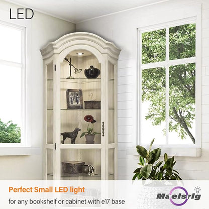 Maelsrlg E17 R14 LED Bulb Dimmable 4W(40W Equivalent) Small Light Bulb, E17 Intermediate Base, 300 Lumens, Curio Cabinet Light Bulb, Daylight White 5000K, Pack of 2