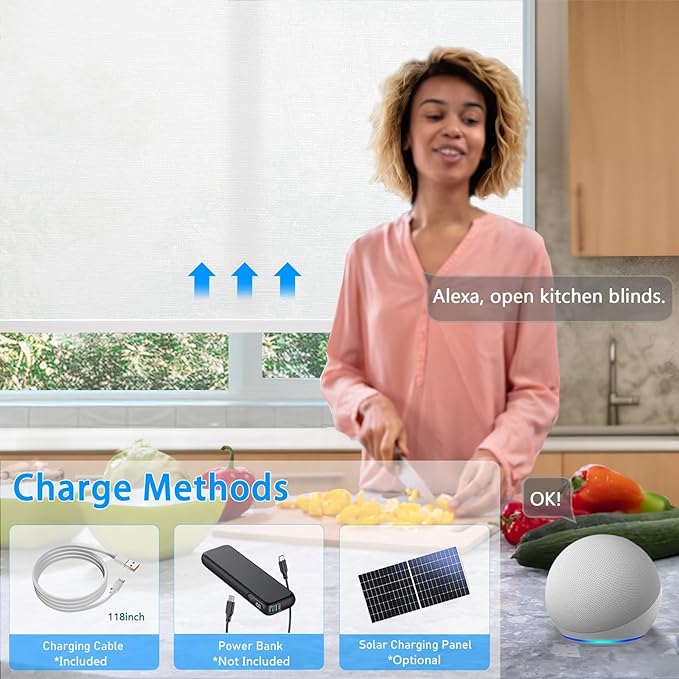 Motorized Blinds with Remote Cordless Automatic Motorized Shades Custom Blinds for Windows Smart Curtains Compatible with Alexa Google Home(Light Filtering Cloud White,W31 x H72in)