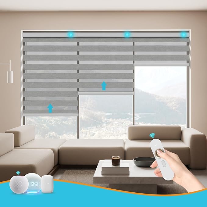 Motorized Zebra Blinds with Remote Smart Blind Work with Homekit Alexa SmartThings Electric Day and Night Shade Cordless Automatic Solar Powered Window Shade Customize(Carbon Grey)
