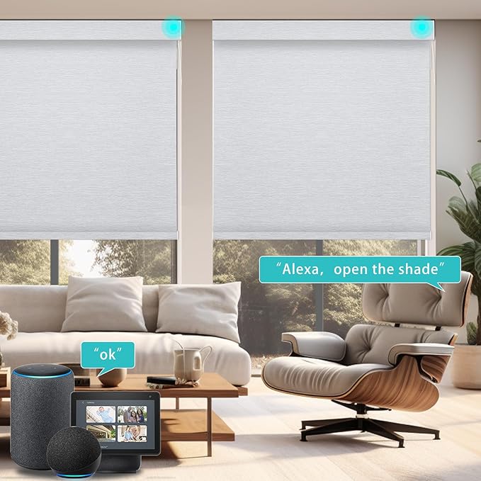 Changshade Smart Roller Shade with Remote Control Blackout Automatic Window Shades for Home Custom Size Motorized Blinds for Windows Work with Alexa,Google Home,Apple Homekit, Grey