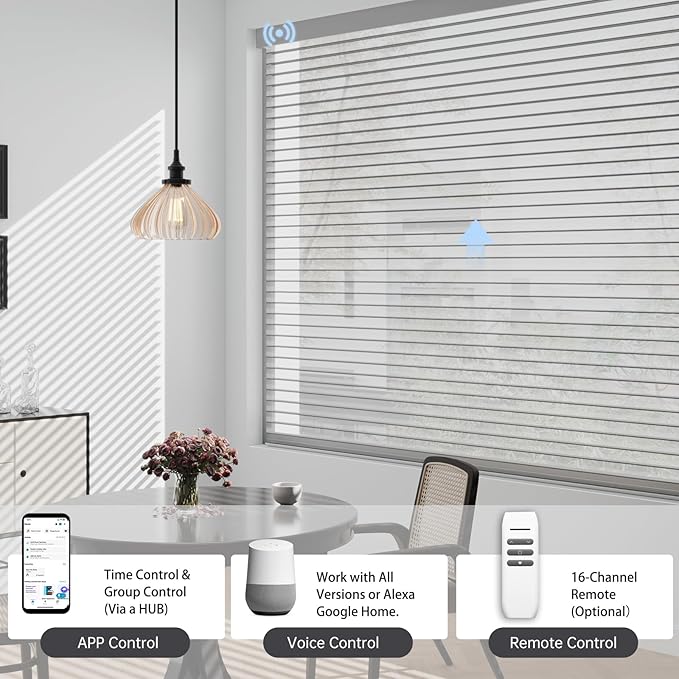 Motorized Sheer Shades with Remote, Automatic Dual-Layered Shades for Windows, Smart Light Filtering Blinds Compatible with Alexa, Custom Size (Light Filtering Drizzle Gray)