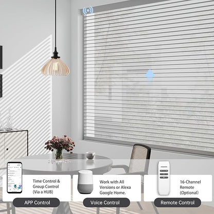 Motorized Sheer Shades with Remote, Automatic Dual-Layered Shades for Windows, Smart Light Filtering Blinds Compatible with Alexa, Custom Size (Light Filtering Drizzle Gray)