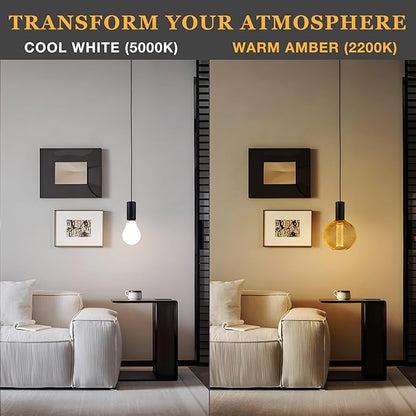 Unique Fancy Vintage Decorative LED Bulb, Special Gold Mesh Globe Edison Light,Dimmable Cozy Glow for Art Decor, E26 Base, 3.5W Cozy Warm White 2200k, Energy Efficient