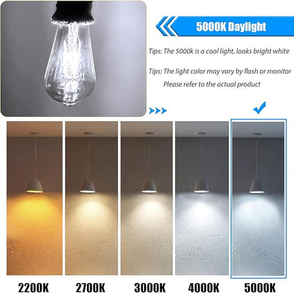 12 Pack Dimmable LED Edison Bulb 40W Equivalent, 5000K Daylight 4W LED Bulbs, E26 Base Vintage Light Bulb, Decorative ST19 Light Bulbs for Ceiling Light Fixtures